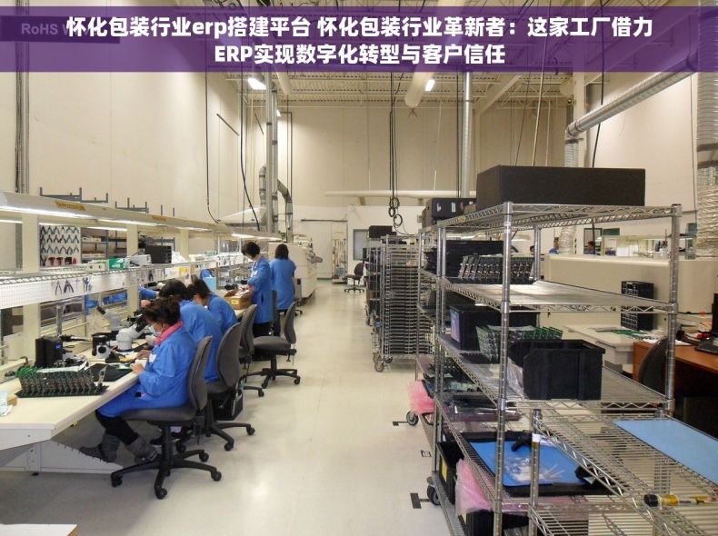 怀化包装行业erp搭建平台 怀化包装行业革新者：这家工厂借力ERP实现数字化转型与客户信任