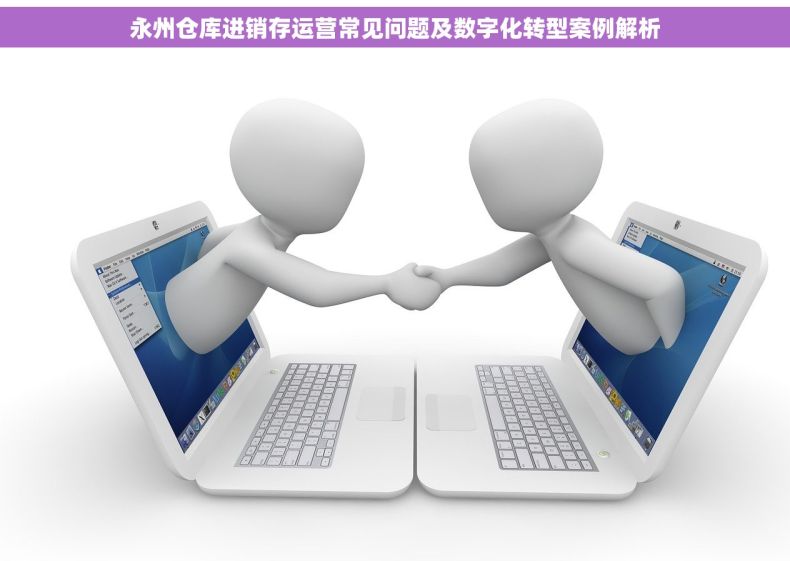 永州仓库进销存运营常见问题及数字化转型案例解析