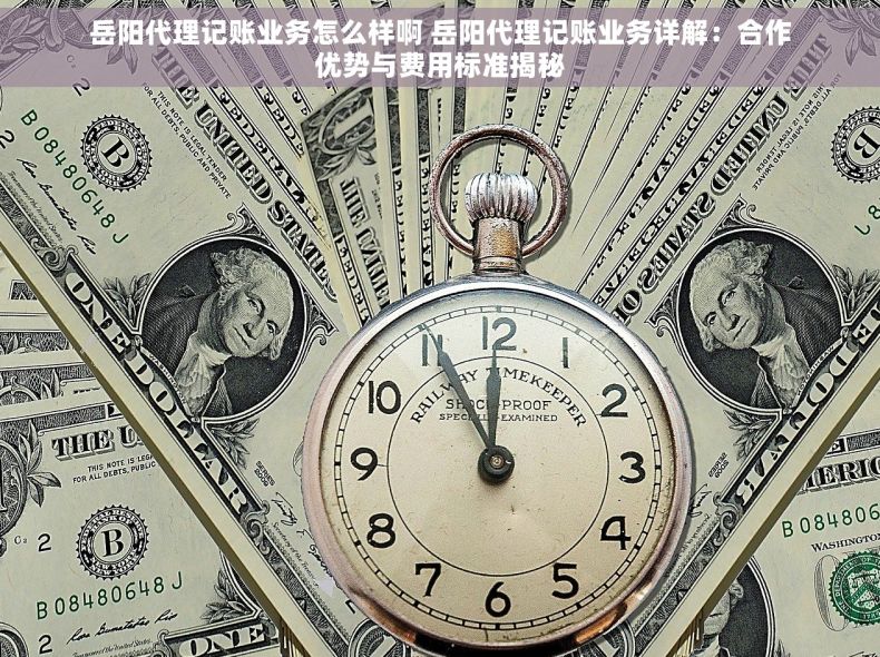 岳阳代理记账业务怎么样啊 岳阳代理记账业务详解：合作优势与费用标准揭秘