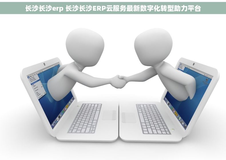 长沙长沙erp 长沙长沙ERP云服务最新数字化转型助力平台