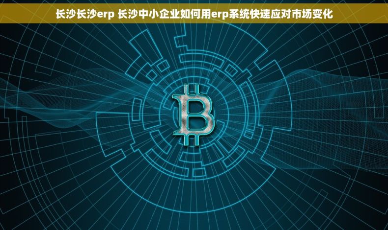 长沙长沙erp 长沙中小企业如何用erp系统快速应对市场变化