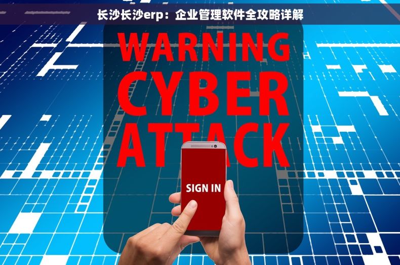 长沙长沙erp：企业管理软件全攻略详解
