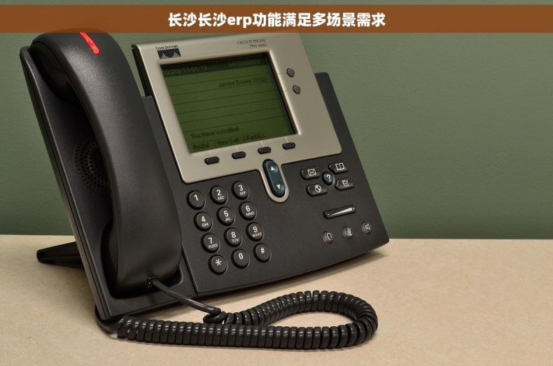 长沙长沙erp功能满足多场景需求
