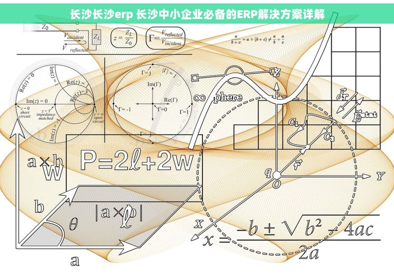 长沙长沙erp 长沙中小企业必备的ERP解决方案详解