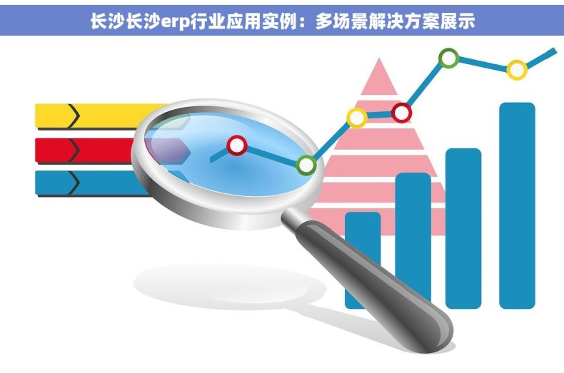 长沙长沙erp行业应用实例：多场景解决方案展示