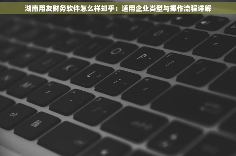 湖南用友财务软件怎么样知乎：适用企业类型与操作流程详解