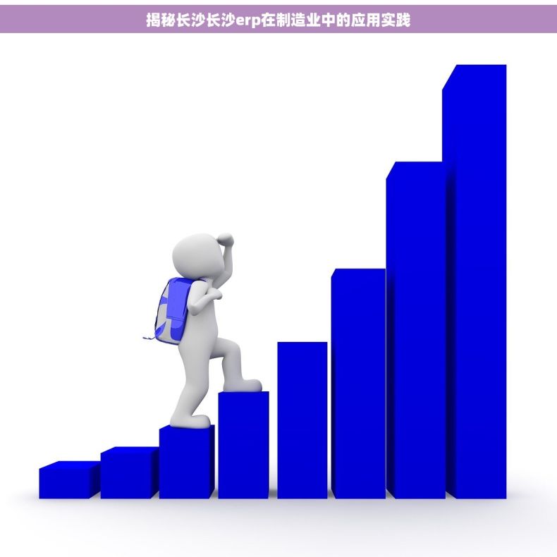 揭秘长沙长沙erp在制造业中的应用实践