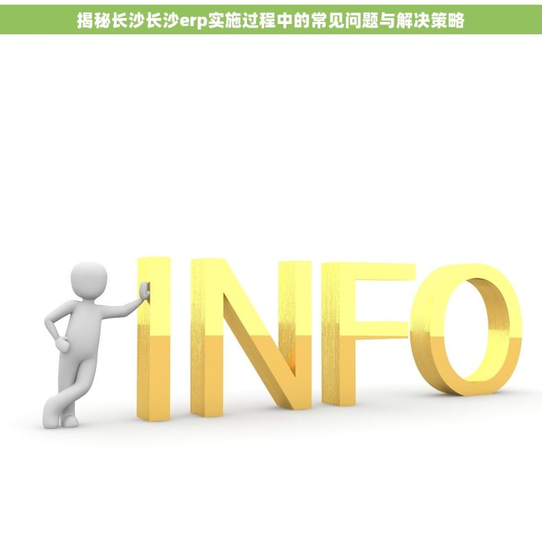 揭秘长沙长沙erp实施过程中的常见问题与解决策略