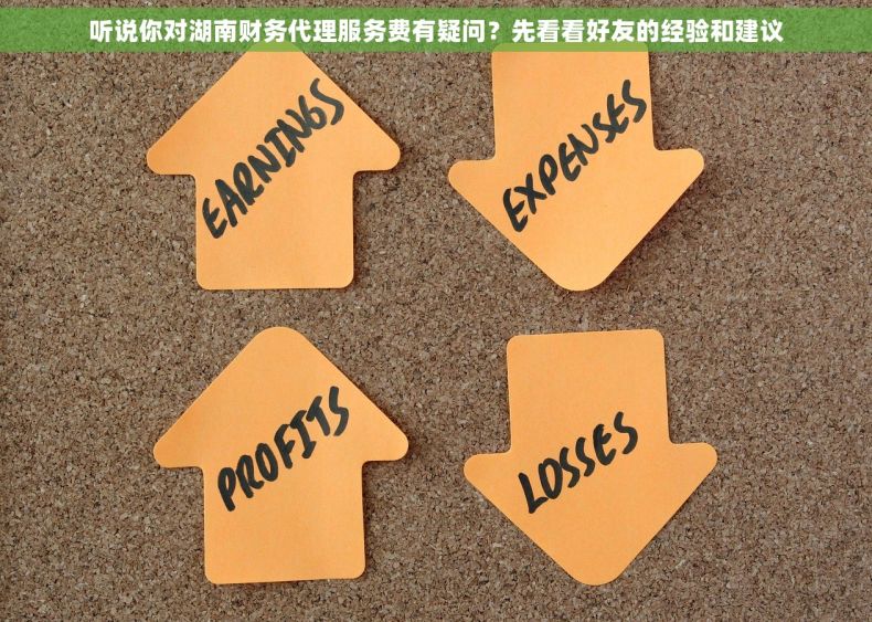 听说你对湖南财务代理服务费有疑问？先看看好友的经验和建议