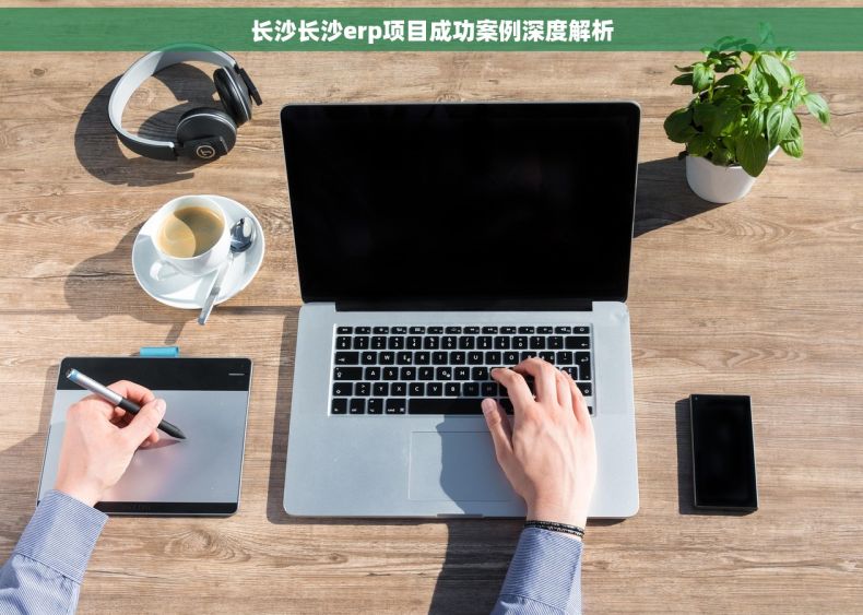 长沙长沙erp项目成功案例深度解析