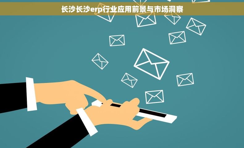 长沙长沙erp行业应用前景与市场洞察