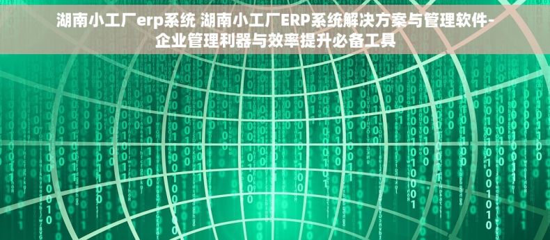 湖南小工厂erp系统 湖南小工厂ERP系统解决方案与管理软件-企业管理利器与效率提升必备工具