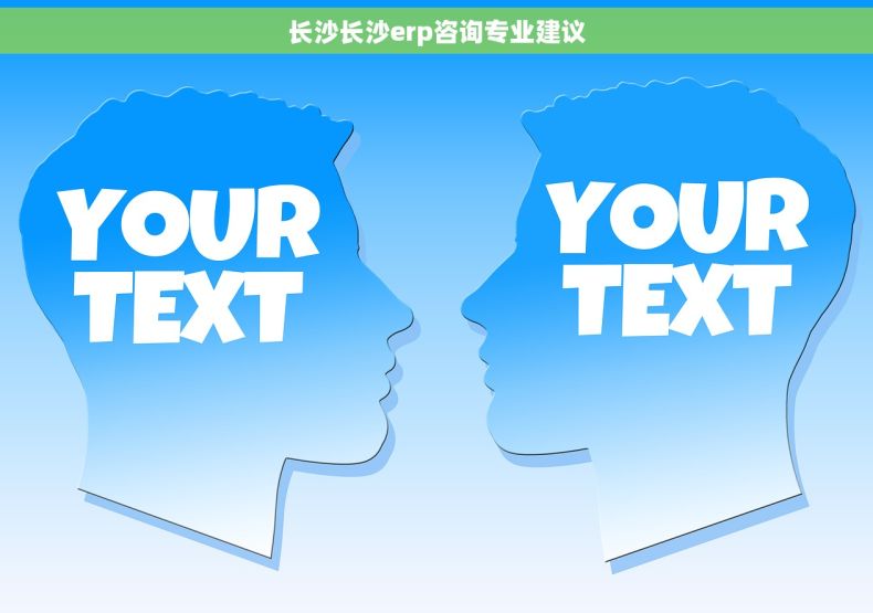 长沙长沙erp咨询专业建议