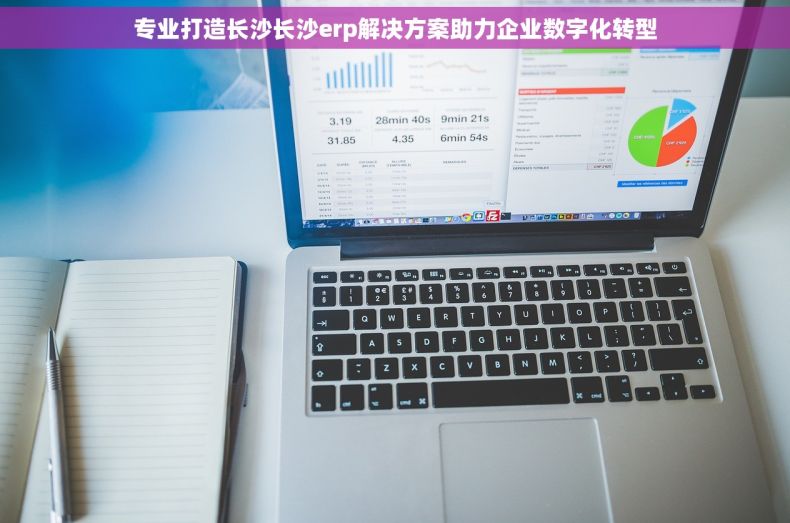 专业打造长沙长沙erp解决方案助力企业数字化转型