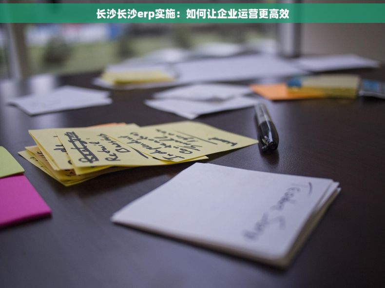 长沙长沙erp实施：如何让企业运营更高效