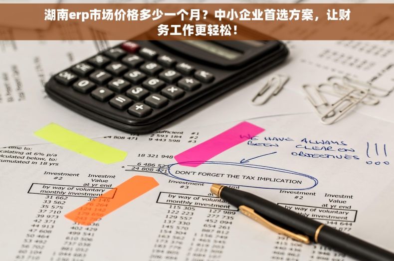 湖南erp市场价格多少一个月？中小企业首选方案，让财务工作更轻松！