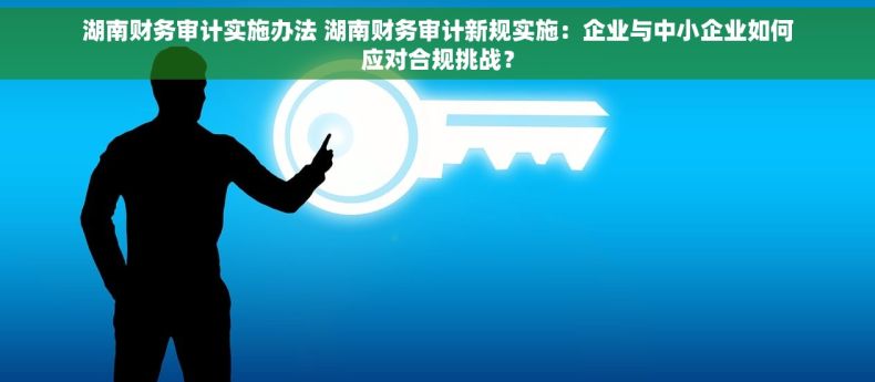 湖南财务审计实施办法 湖南财务审计新规实施：企业与中小企业如何应对合规挑战？