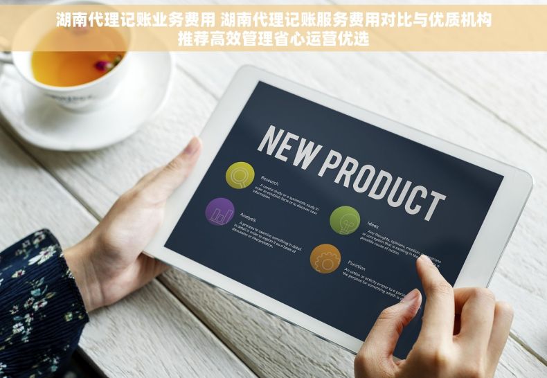 湖南代理记账业务费用 湖南代理记账服务费用对比与优质机构推荐高效管理省心运营优选