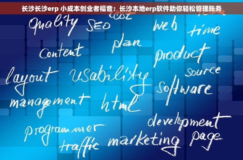 长沙长沙erp 小成本创业者福音：长沙本地erp软件助你轻松管理账务