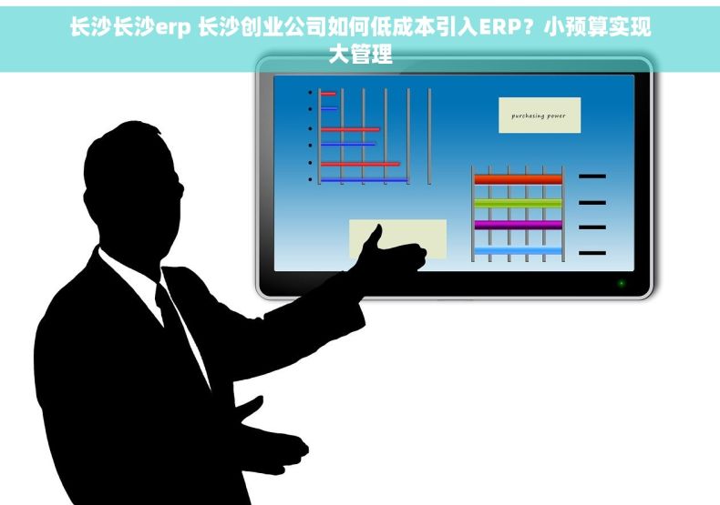 长沙长沙erp 长沙创业公司如何低成本引入ERP？小预算实现大管理