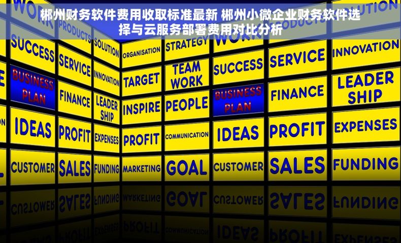 郴州财务软件费用收取标准最新 郴州小微企业财务软件选择与云服务部署费用对比分析