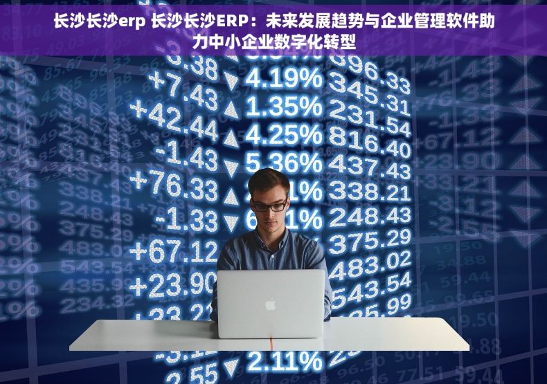 长沙长沙erp 长沙长沙ERP：未来发展趋势与企业管理软件助力中小企业数字化转型