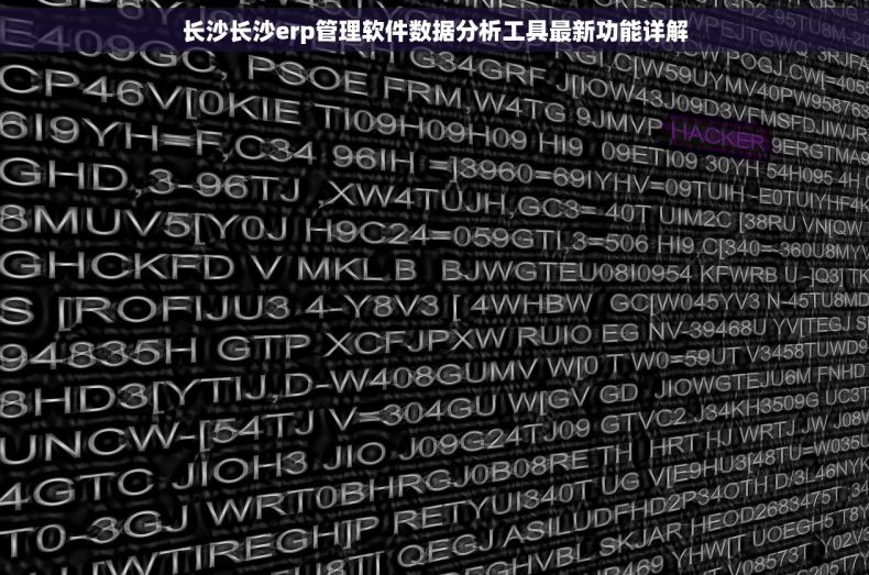长沙长沙erp管理软件数据分析工具最新功能详解