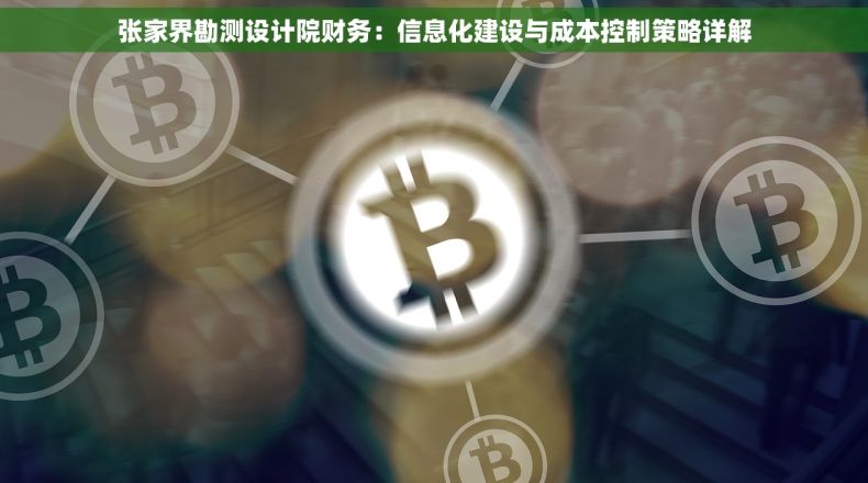 张家界勘测设计院财务：信息化建设与成本控制策略详解