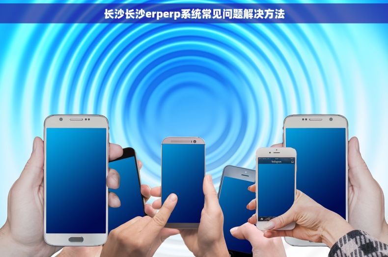 长沙长沙erperp系统常见问题解决方法