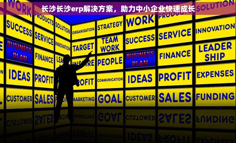 长沙长沙erp解决方案，助力中小企业快速成长