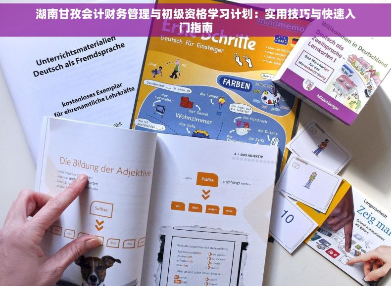 湖南甘孜会计财务管理与初级资格学习计划：实用技巧与快速入门指南