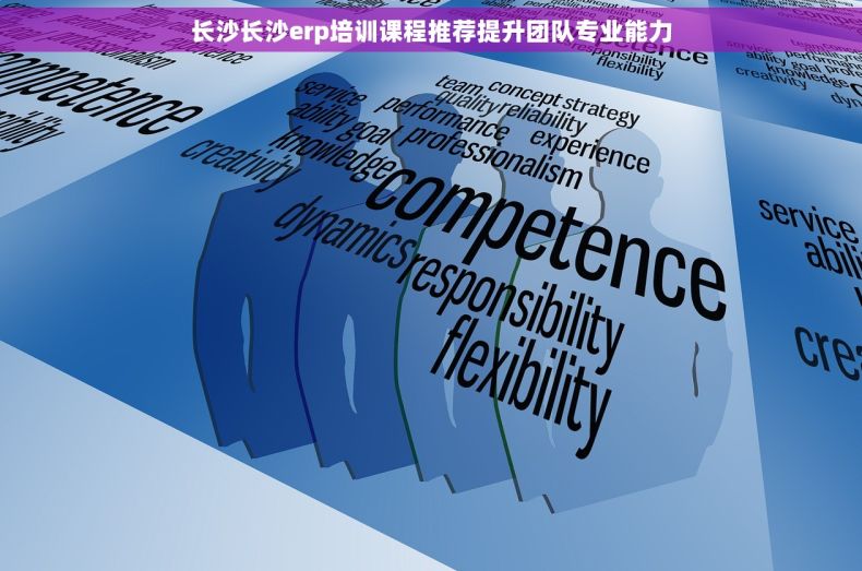长沙长沙erp培训课程推荐提升团队专业能力