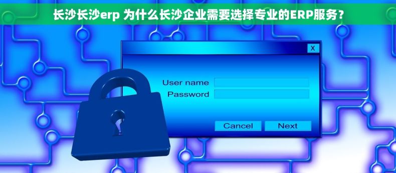 长沙长沙erp 为什么长沙企业需要选择专业的ERP服务？