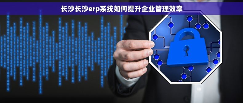 长沙长沙erp系统如何提升企业管理效率
