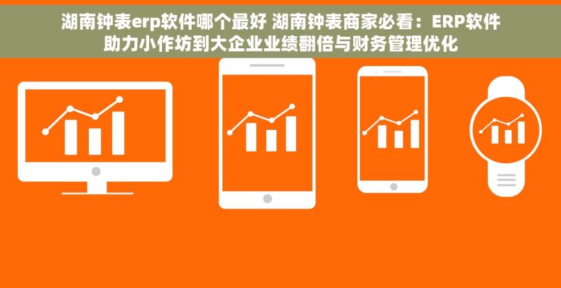 湖南钟表erp软件哪个最好 湖南钟表商家必看：ERP软件助力小作坊到大企业业绩翻倍与财务管理优化