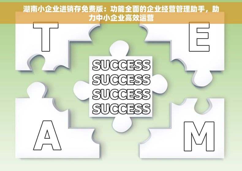 湖南小企业进销存免费版：功能全面的企业经营管理助手，助力中小企业高效运营