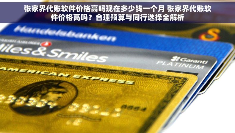张家界代账软件价格高吗现在多少钱一个月 张家界代账软件价格高吗？合理预算与同行选择全解析