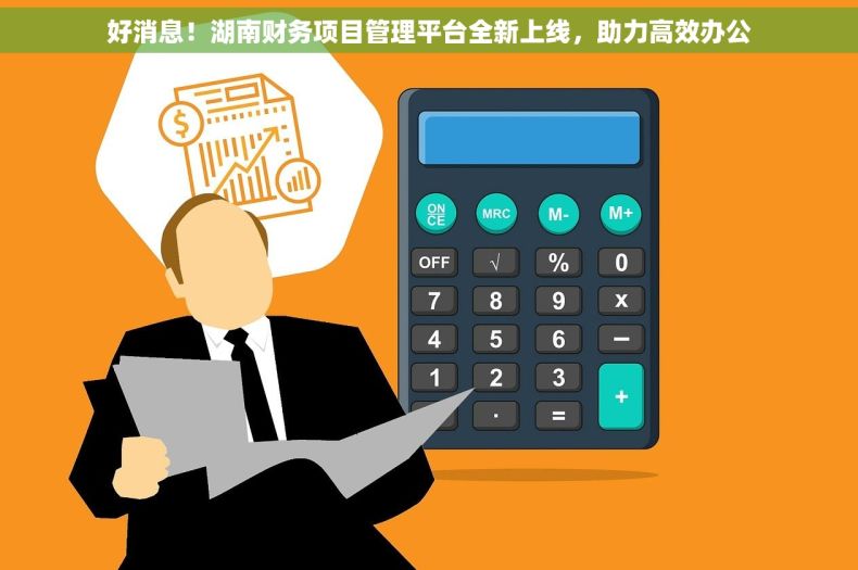 好消息！湖南财务项目管理平台全新上线，助力高效办公