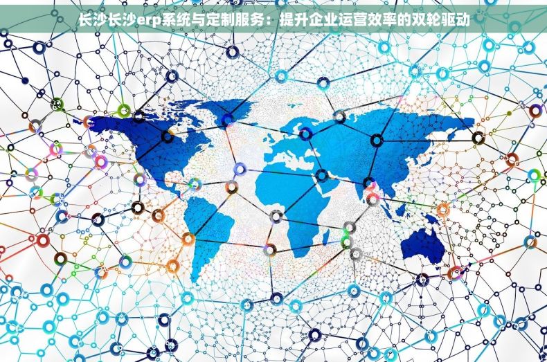 长沙长沙erp系统与定制服务：提升企业运营效率的双轮驱动