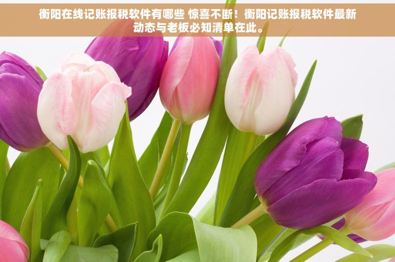 衡阳在线记账报税软件有哪些 惊喜不断！衡阳记账报税软件最新动态与老板必知清单在此。