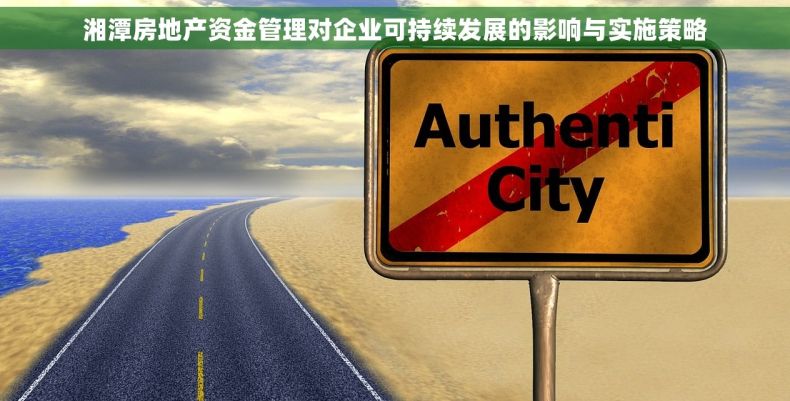 湘潭房地产资金管理对企业可持续发展的影响与实施策略