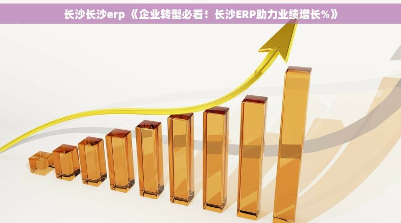 长沙长沙erp 《企业转型必看！长沙ERP助力业绩增长%》