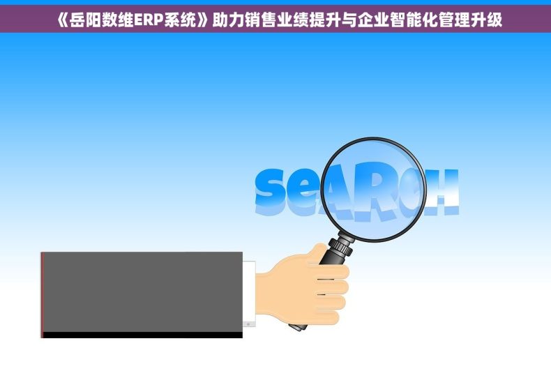 《岳阳数维ERP系统》助力销售业绩提升与企业智能化管理升级