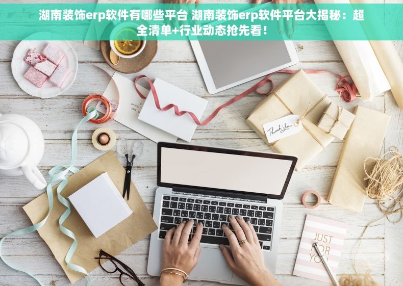 湖南装饰erp软件有哪些平台 湖南装饰erp软件平台大揭秘：超全清单+行业动态抢先看！