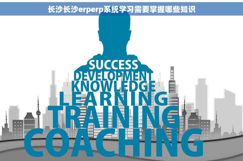 长沙长沙erperp系统学习需要掌握哪些知识