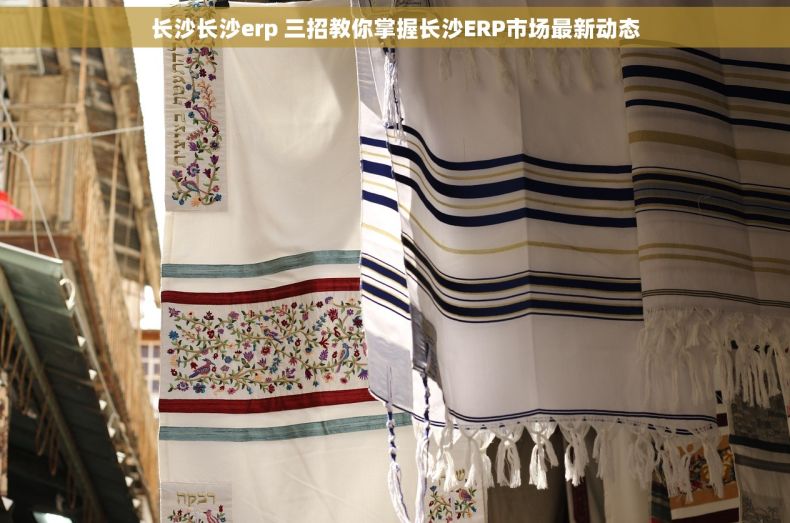 长沙长沙erp 三招教你掌握长沙ERP市场最新动态
