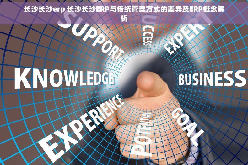 长沙长沙erp 长沙长沙ERP与传统管理方式的差异及ERP概念解析