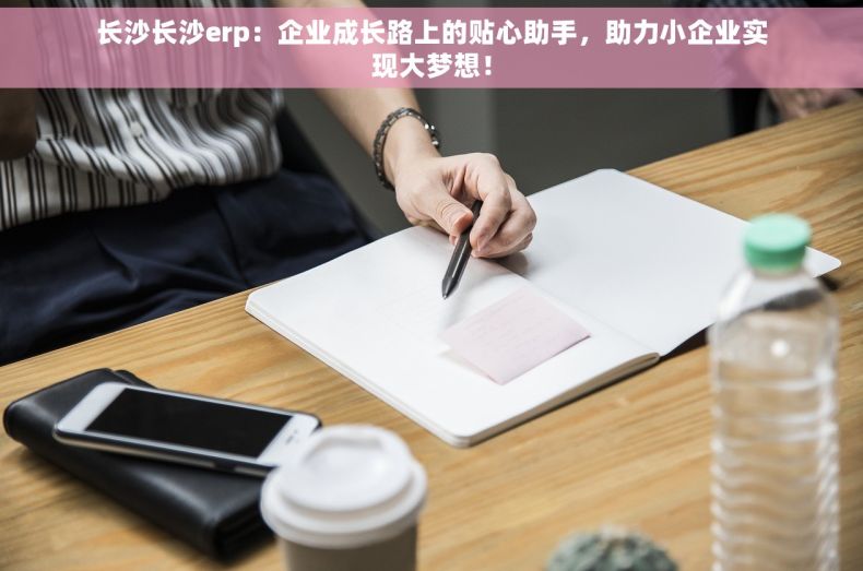 长沙长沙erp：企业成长路上的贴心助手，助力小企业实现大梦想！