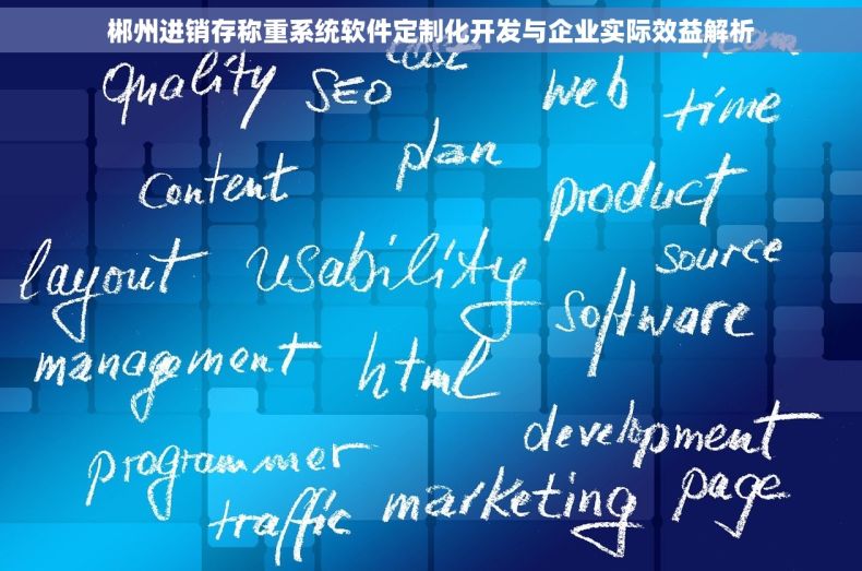 郴州进销存称重系统软件定制化开发与企业实际效益解析