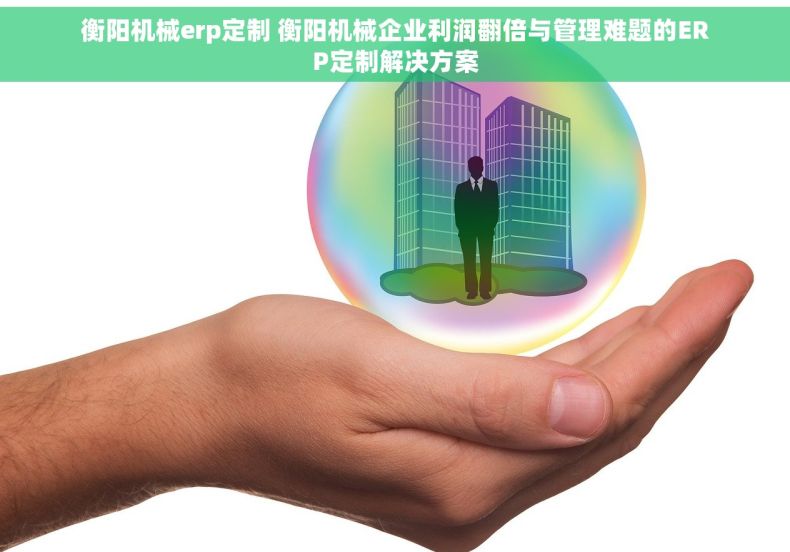 衡阳机械erp定制 衡阳机械企业利润翻倍与管理难题的ERP定制解决方案